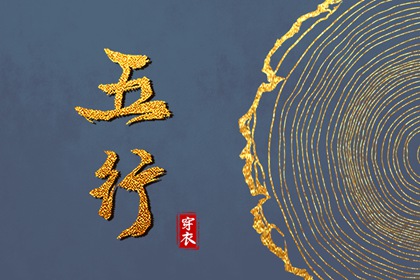 易安居紫薇排盘,排命盘,紫薇星斗数命盘,排紫微斗数命盘